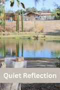 Quiet Reflection