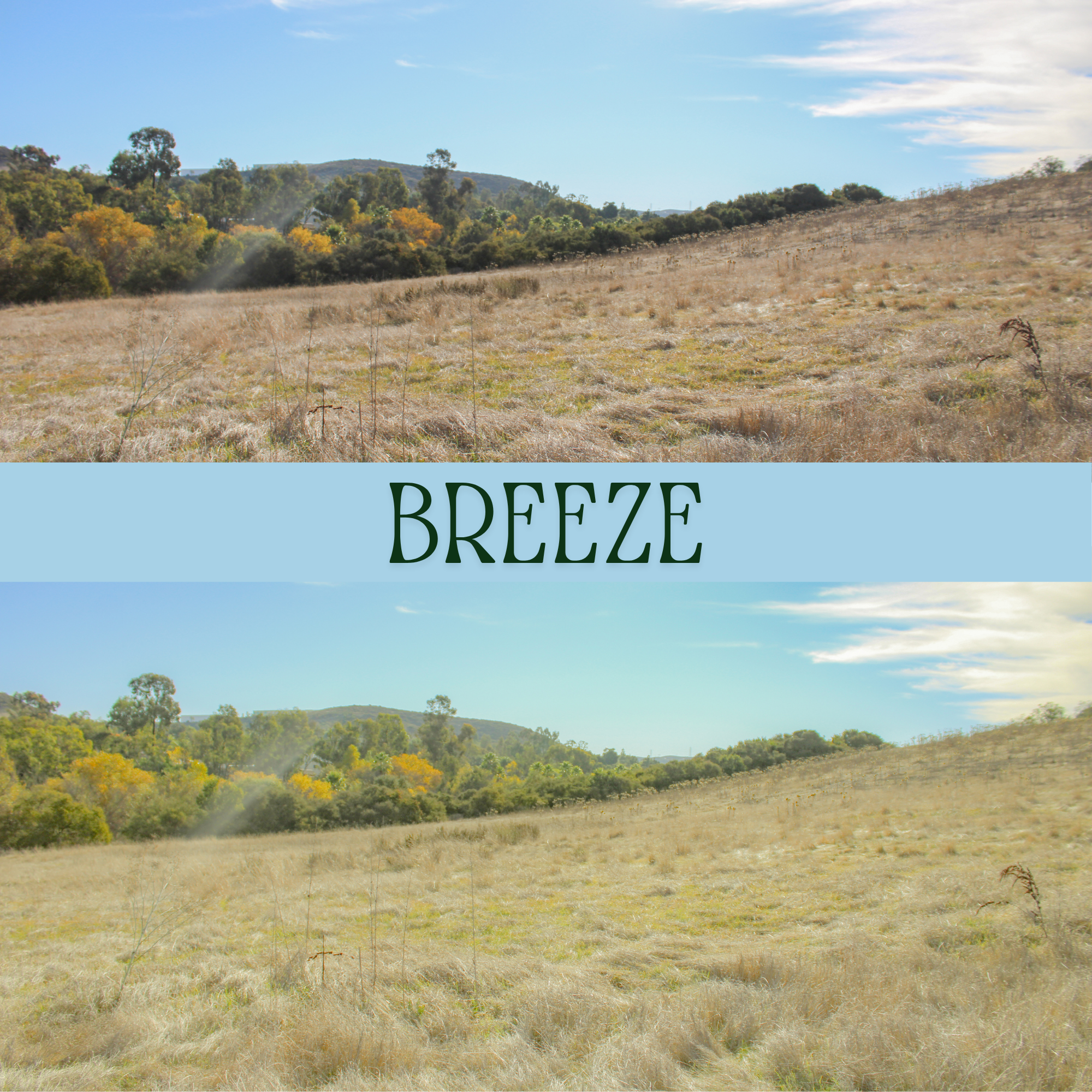 Breeze - Lightroom Desktop Preset